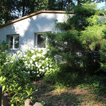 Apartment Gaestehaus 